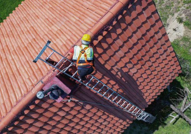 Best Rubber Roofing (EPDM, TPO)  in Braska City, NE